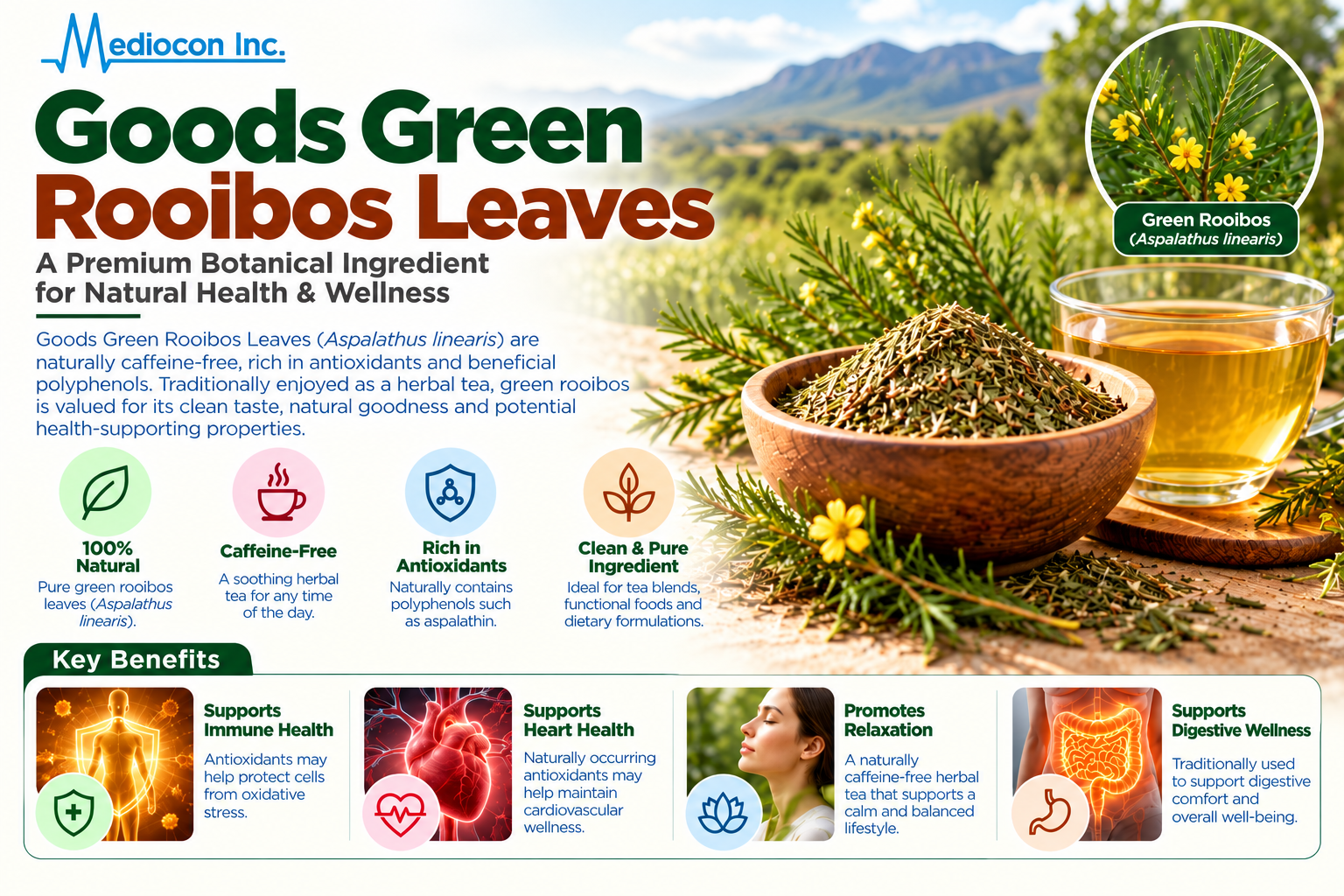 Green Rooibos Leaves (Aspalathus linearis) | Mediocon Inc. — Mediocon Inc
