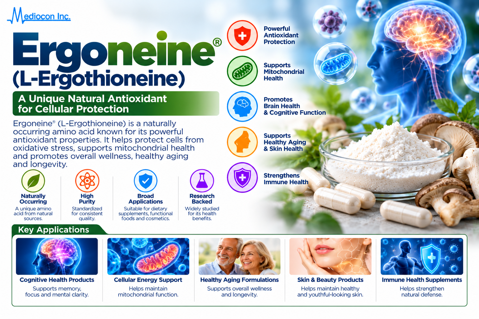 Ergoneine® L-Ergothioneine Manufacturer in India | Mediocon Inc. — Mediocon Inc