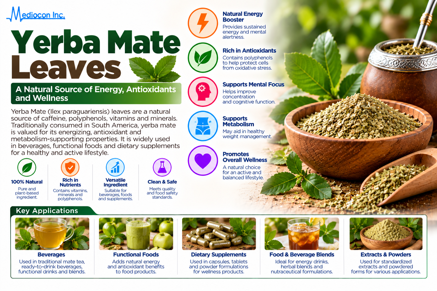 Yerba Mate Leaves Manufacturer in India | Mediocon Inc. — Mediocon Inc