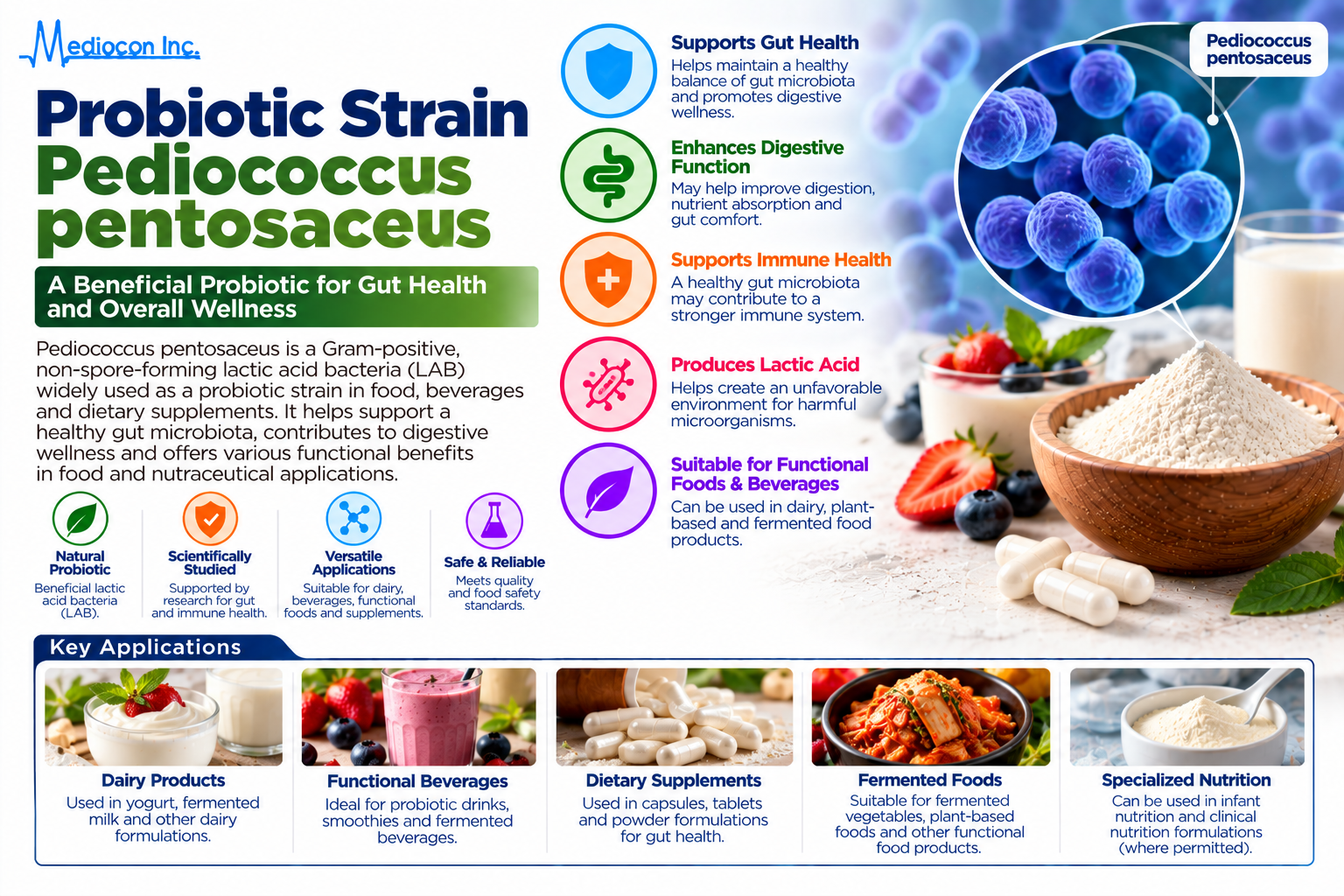 Pediococcus pentosaceus Probiotic Strain Manufacturer in India | Mediocon Inc. — Mediocon Inc