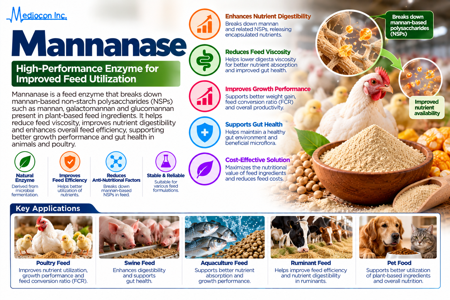 Mannanase Manufacturer in India | Mediocon Inc. — Mediocon Inc