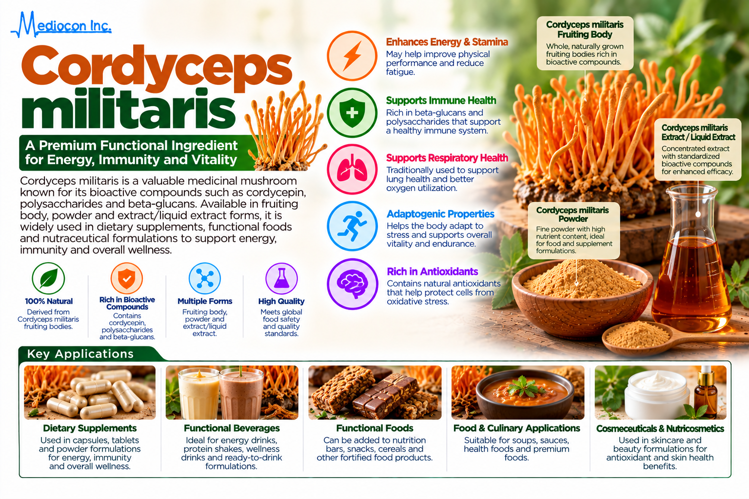 Cordyceps militaris Fruiting Body Manufacturer in India | Mediocon Inc. — Mediocon Inc