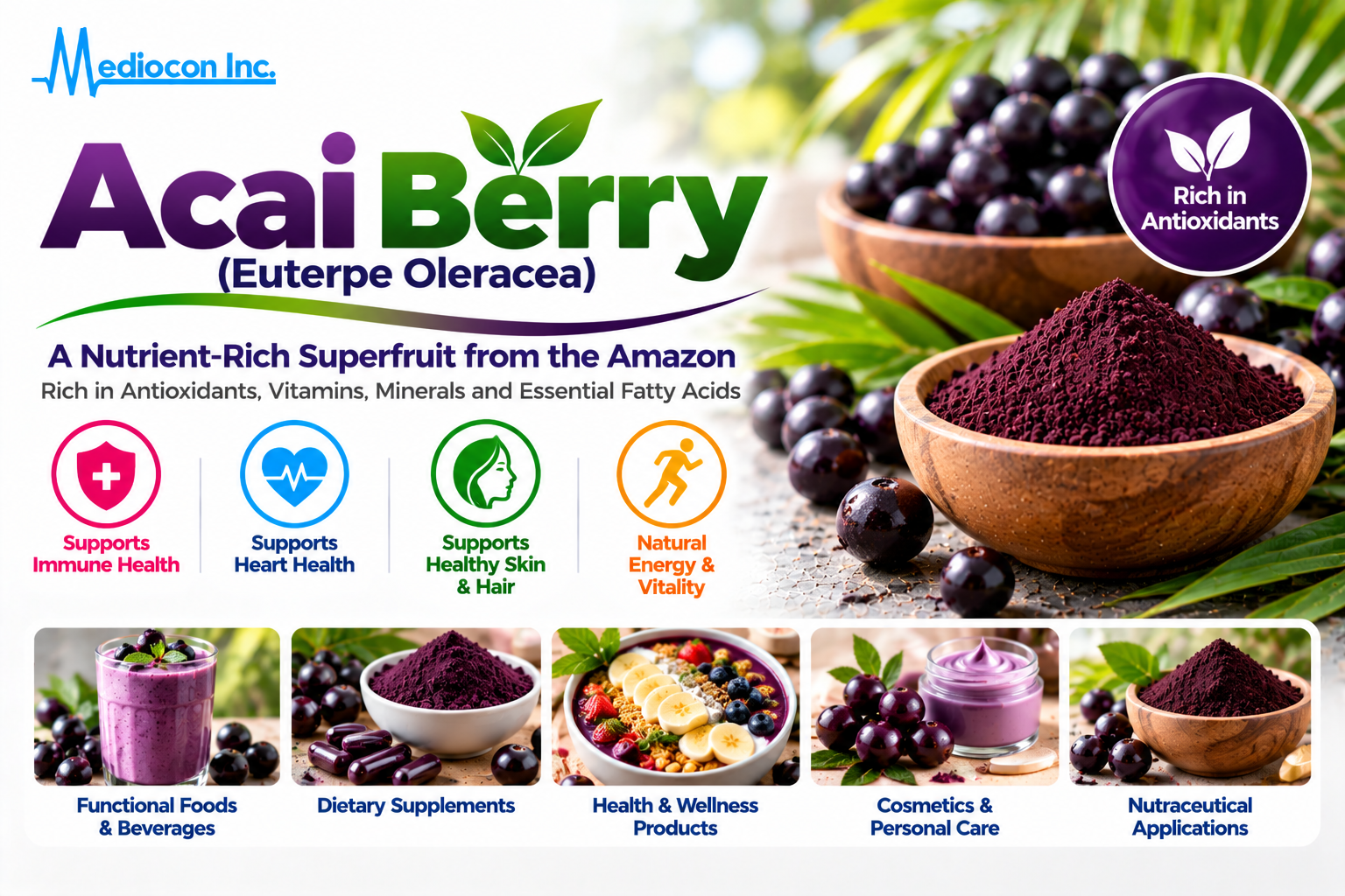 Acai Berry (Euterpe oleracea) Manufacturer in India | Mediocon Inc. — Mediocon Inc