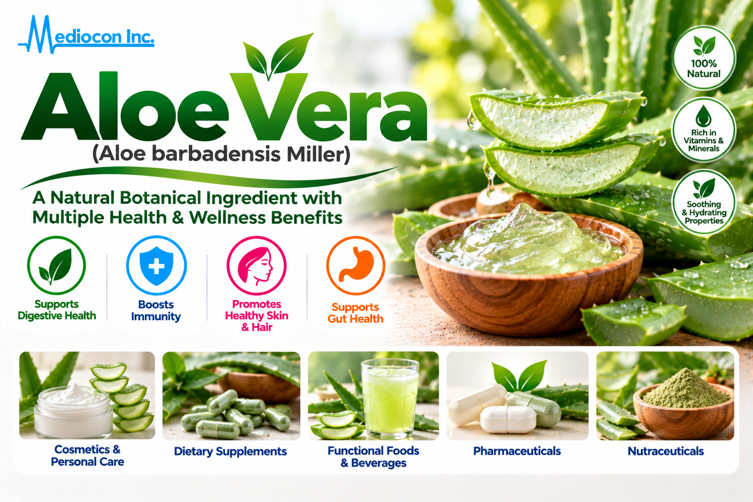 Aloe Vera (Aloe barbadensis Miller) Manufacturer in India | Mediocon Inc. — Mediocon Inc