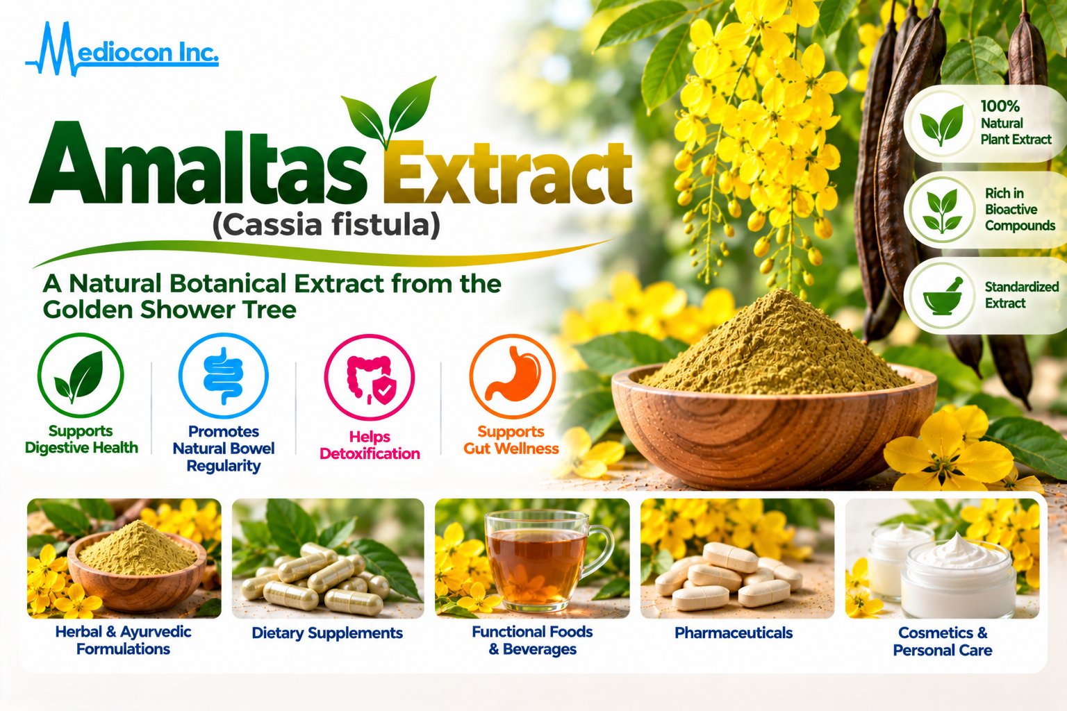 Amaltas Extract (Cassia fistula) Manufacturer in India | Mediocon Inc. — Mediocon Inc