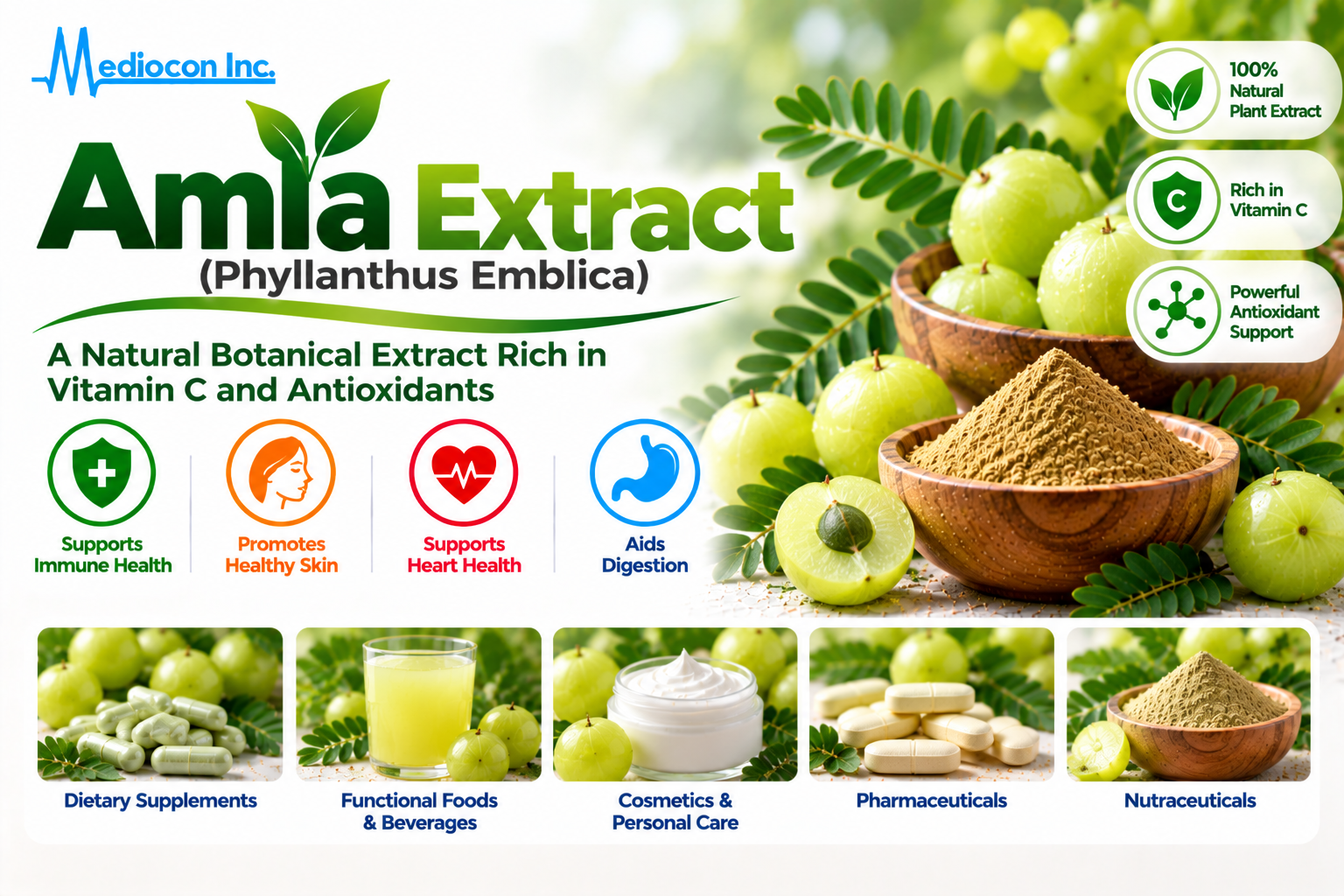 Amla Extract (Phyllanthus emblica) Manufacturer in India | Mediocon Inc. — Mediocon Inc