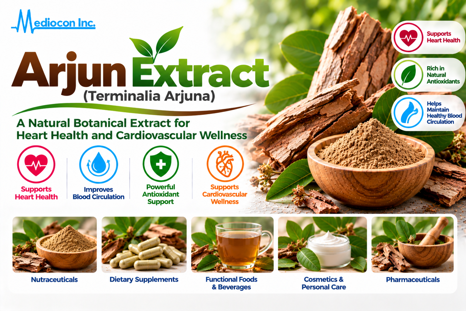Arjun Extract (Terminalia arjuna) Manufacturer in India | Mediocon Inc. — Mediocon Inc