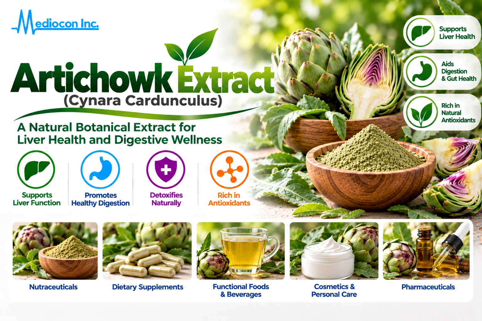 Artichowke Extract (Cynara cardunculus) Manufacturer in India | Mediocon Inc. — Mediocon Inc