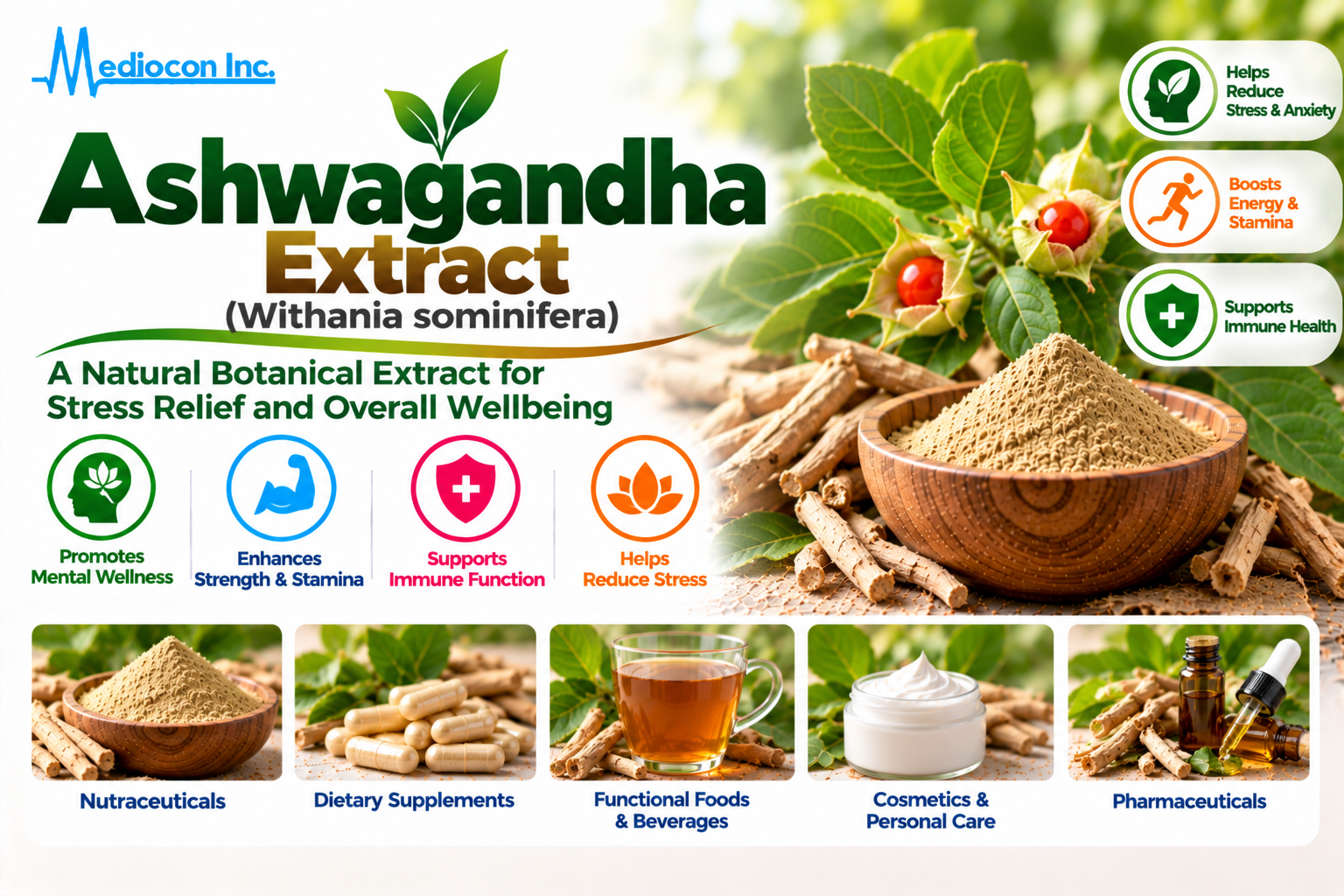 Ashwagandha Extract (Withania somnifera) Manufacturer in India | Mediocon Inc. — Mediocon Inc