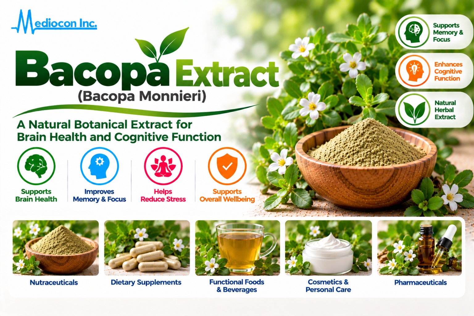 Bacopa Extract (Bacopa monnieri) Manufacturer in India | Mediocon Inc. — Mediocon Inc