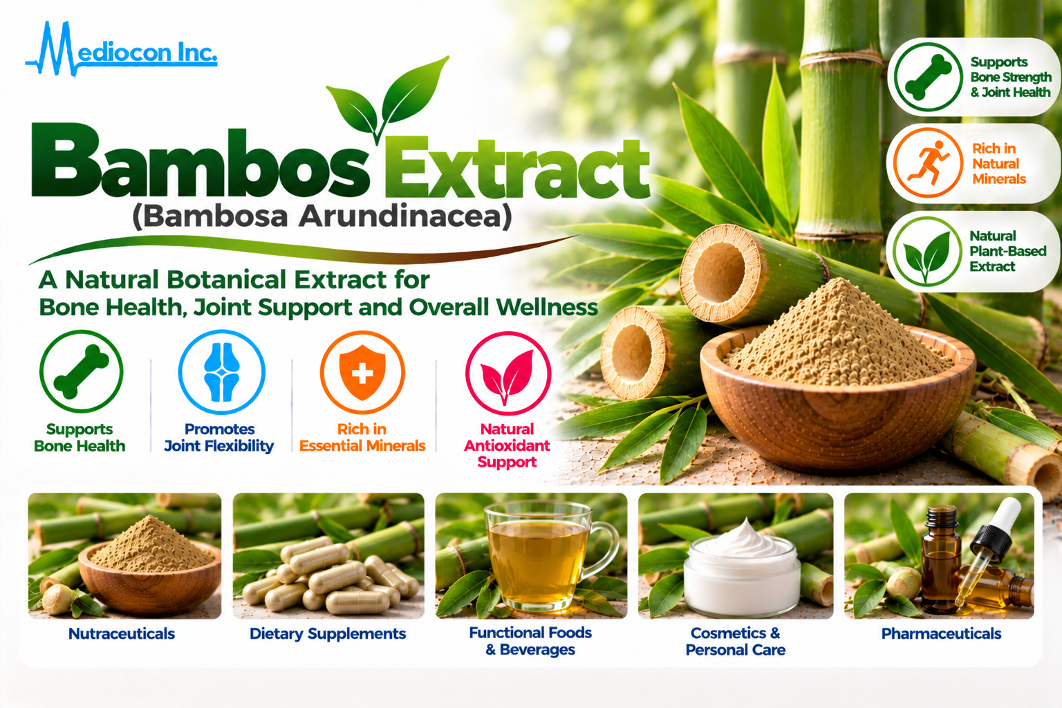 Bamboo Extract (Bambusa arundinacea) Manufacturer in India | Mediocon Inc. — Mediocon Inc