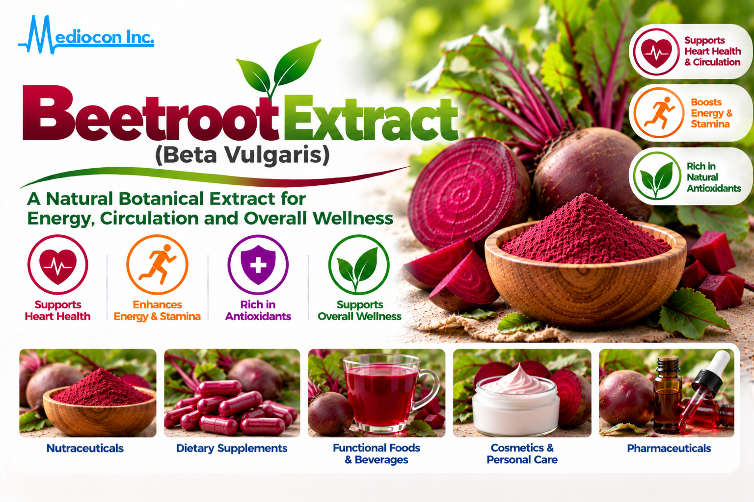 Beetroot Extract (Beta vulgaris) Manufacturer in India | Mediocon Inc. — Mediocon Inc