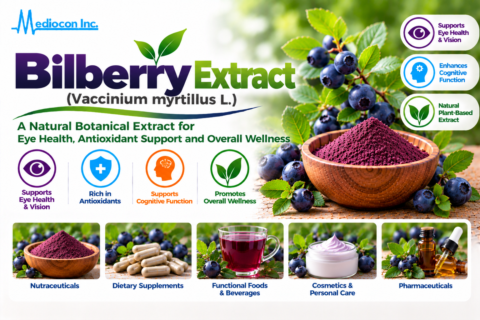 Bilberry Extract (Vaccinium myrtillus L.) Manufacturer in India | Mediocon Inc. — Mediocon Inc