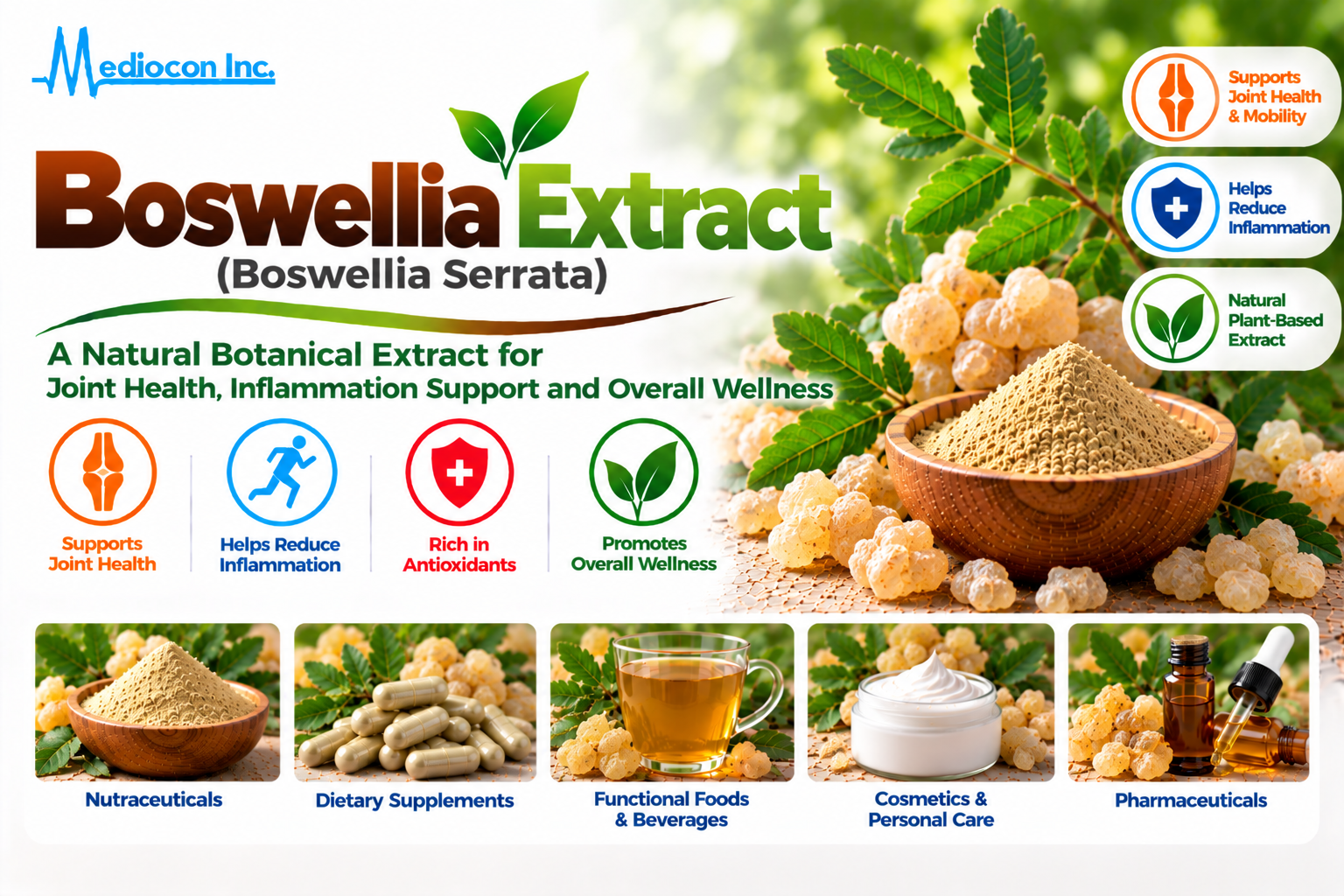 Boswellia Extract (Boswellia serrata) Manufacturer in India | Mediocon Inc. — Mediocon Inc
