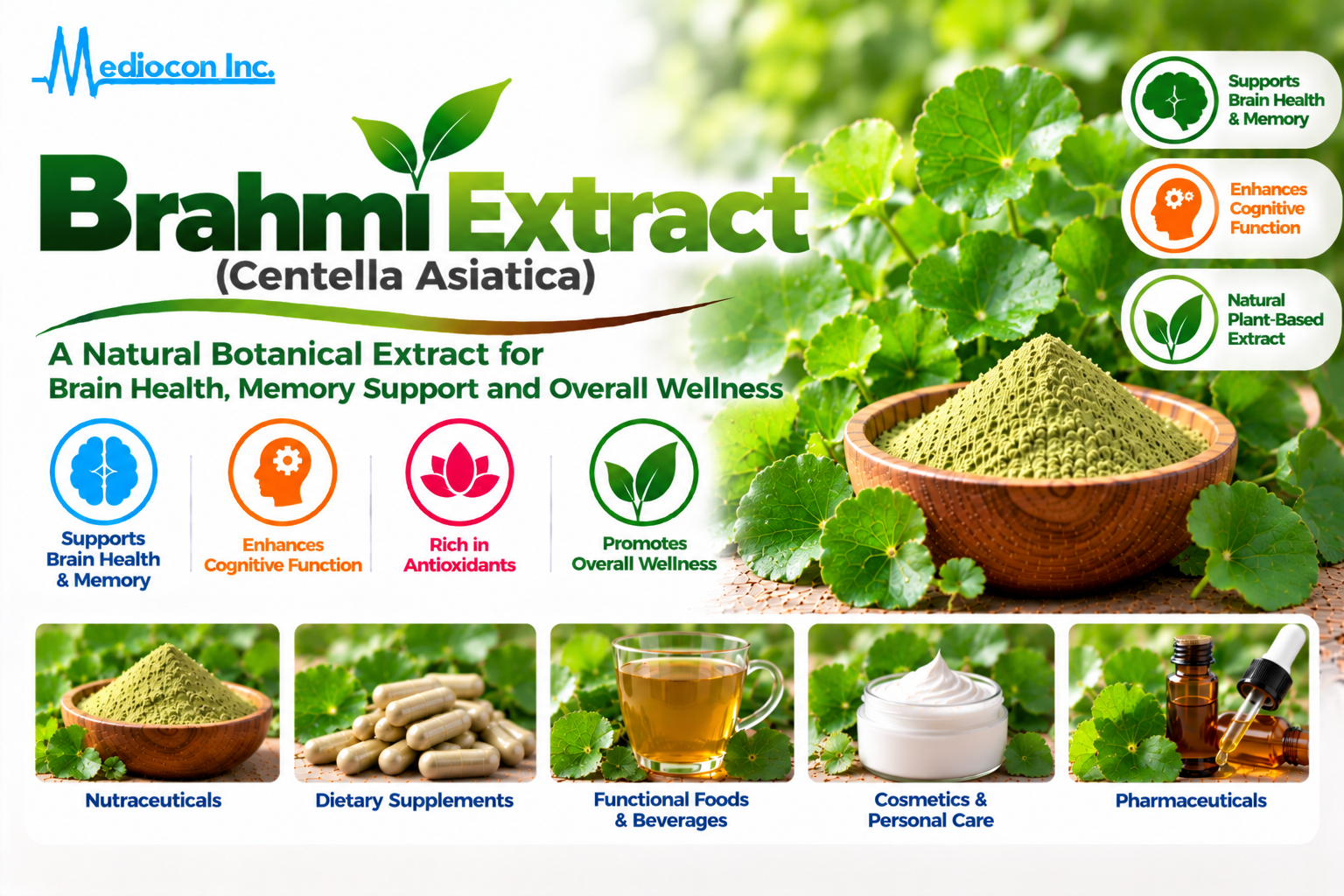 Brahmi Extract (Centella asiatica) Manufacturer in India | Mediocon Inc. — Mediocon Inc