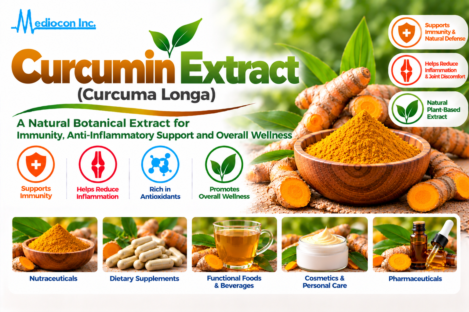 Curcumin Extract (Curcuma longa) Manufacturer in India | Mediocon Inc. — Mediocon Inc