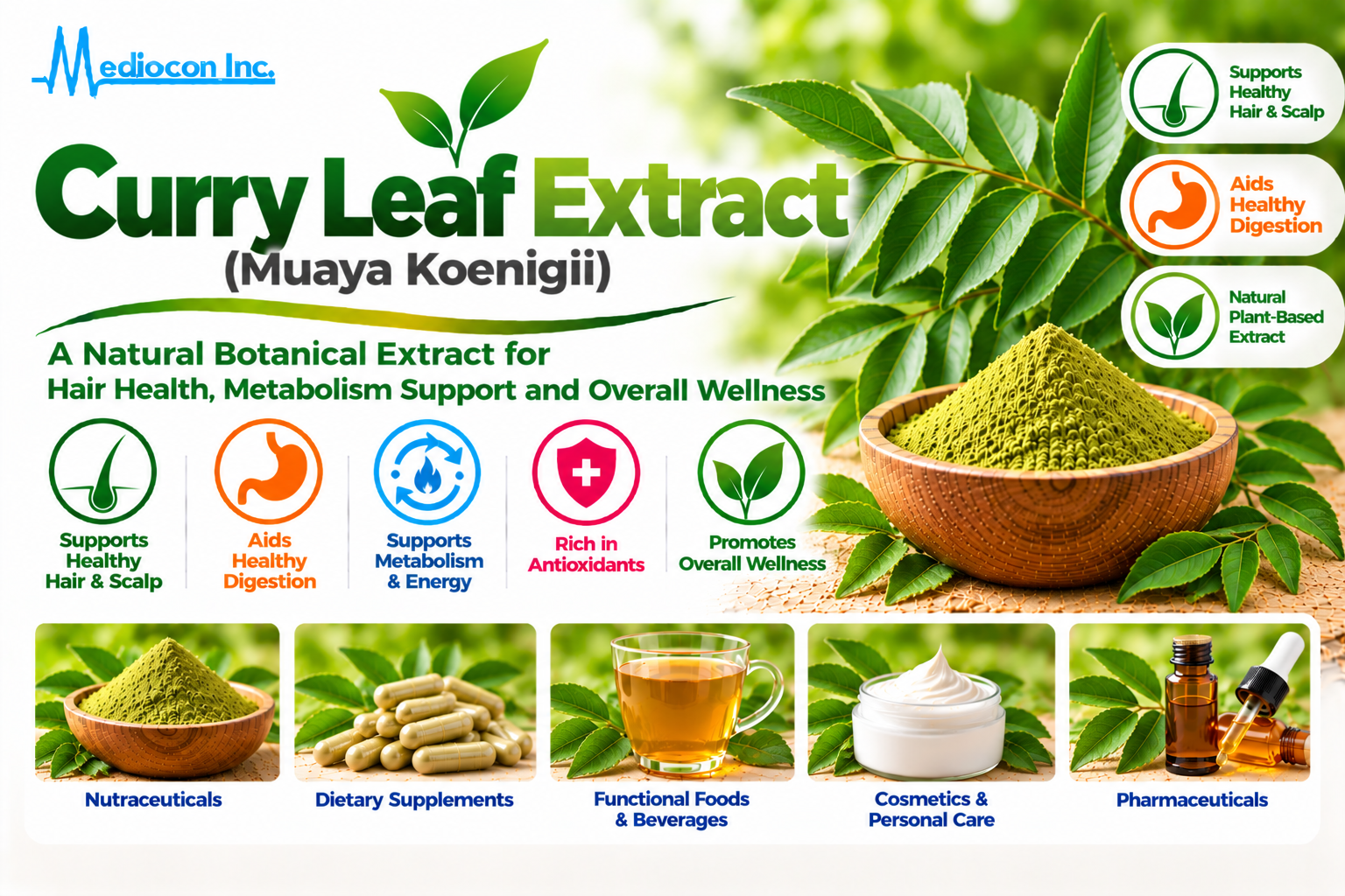 Curry Leaf Extract (Murraya koenigii) Manufacturer in India | Mediocon Inc. — Mediocon Inc