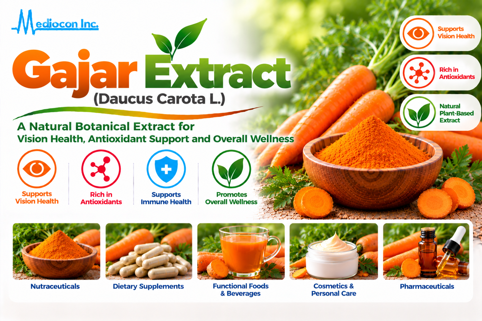 Gajar Extract (Daucus carota L.) Manufacturer in India | Mediocon Inc. — Mediocon Inc