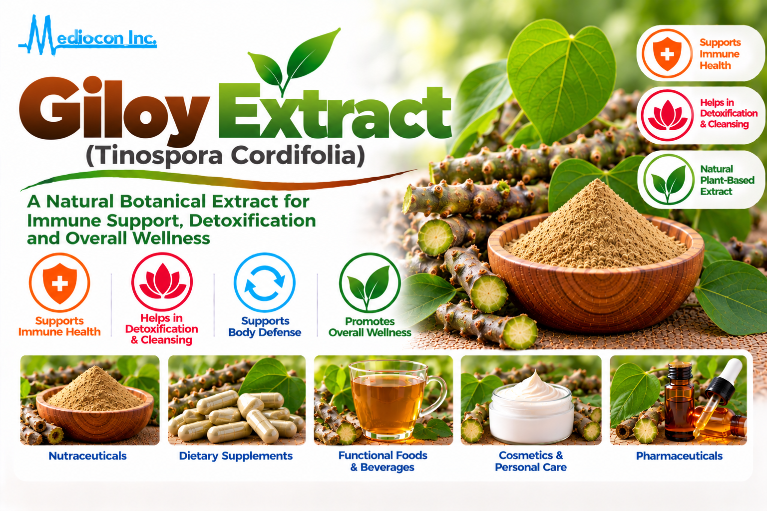 Giloy Extract (Tinospora cordifolia) Manufacturer in India | Mediocon Inc. — Mediocon Inc