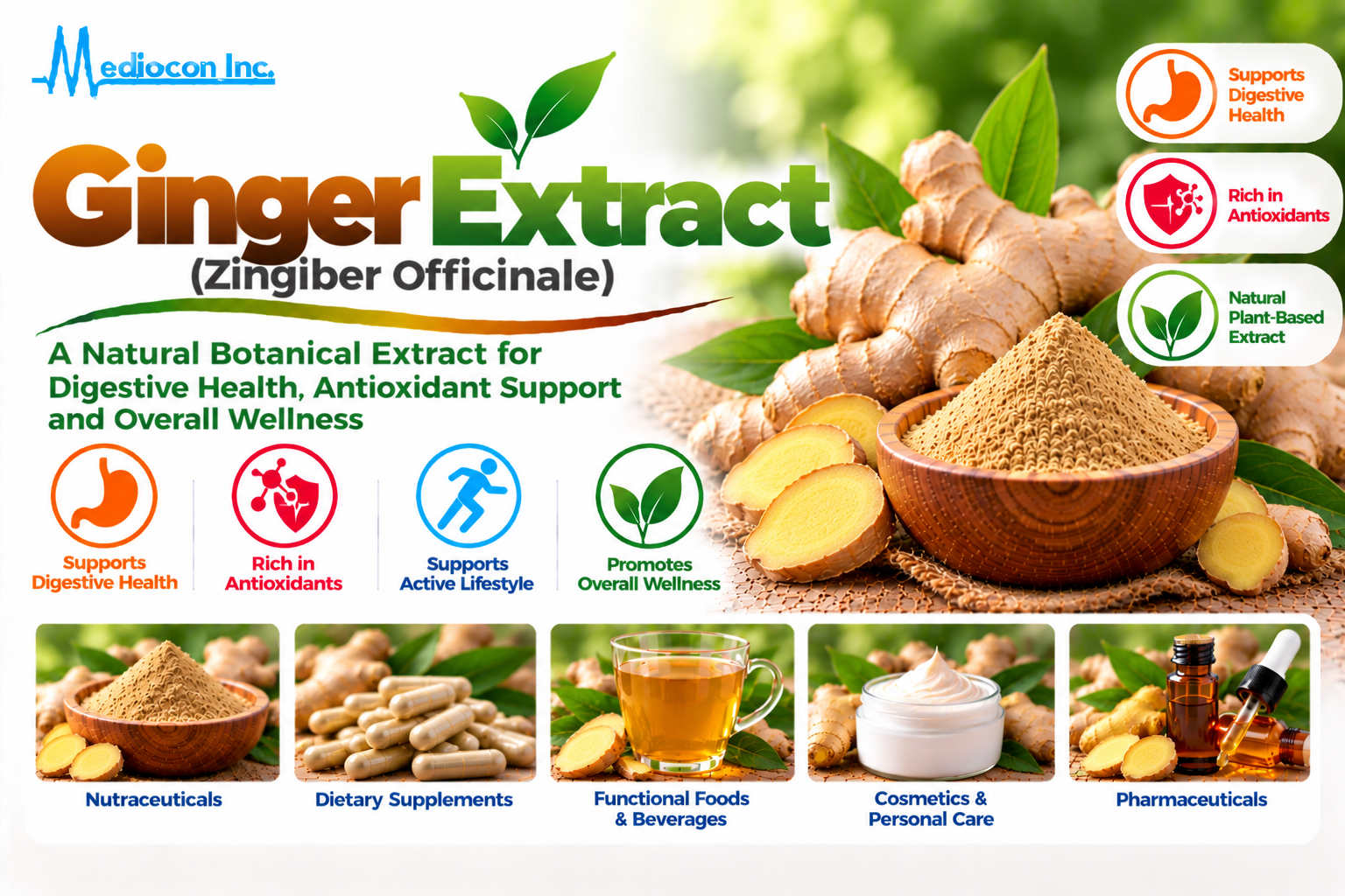 Ginger Extract (Zingiber officinale) Manufacturer in India | Mediocon Inc. — Mediocon Inc
