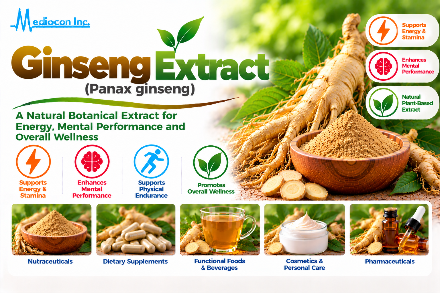 Ginseng Extract (Panax ginseng) Manufacturer in India | Mediocon Inc. — Mediocon Inc