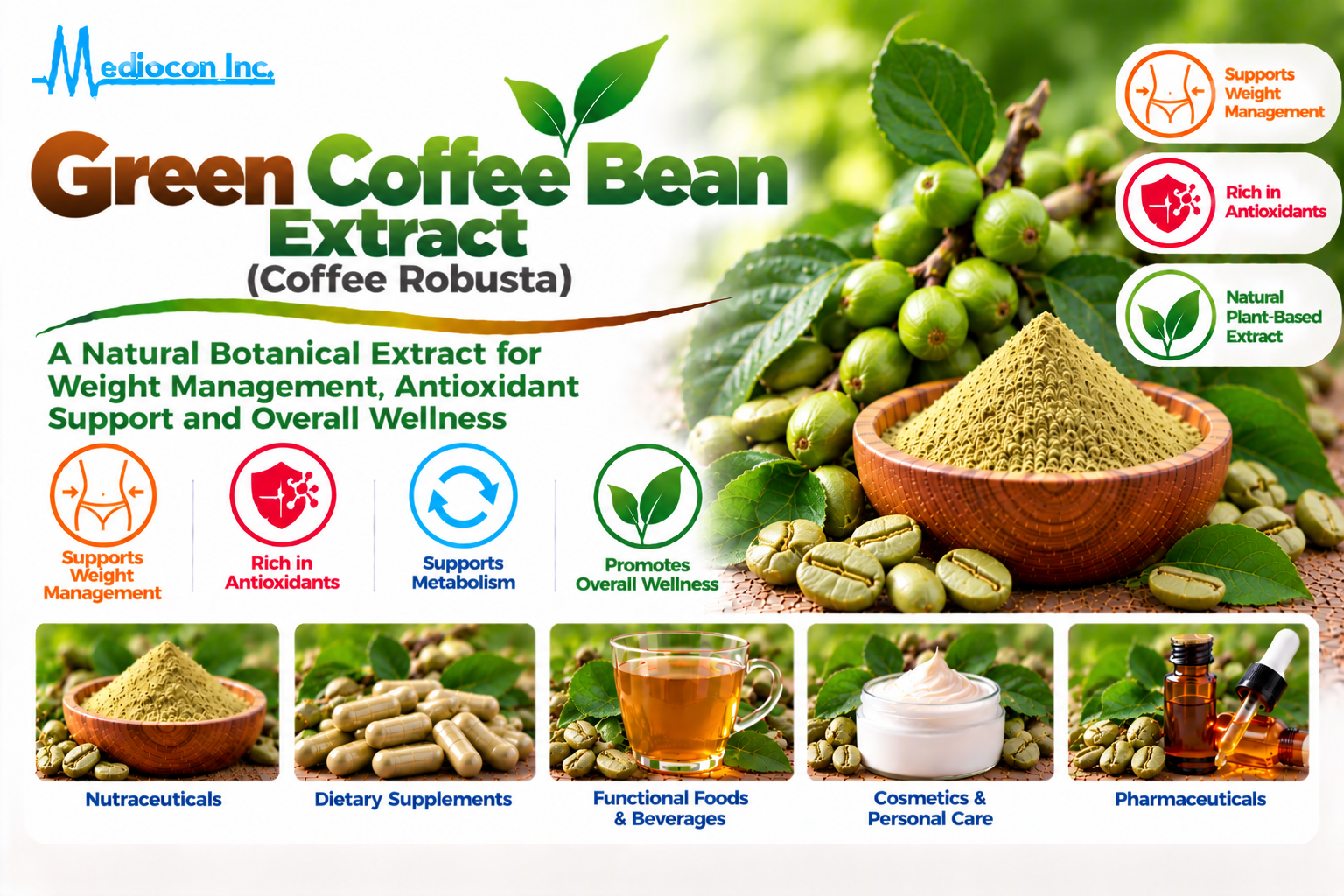 Green Coffee Bean Extract (Coffea canephora) Manufacturer in India | Mediocon Inc. — Mediocon Inc