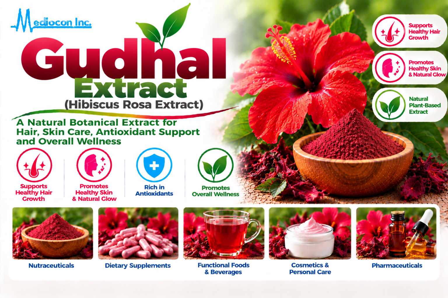 Gudhal Extract (Hibiscus Rosa Extract) Manufacturer in India | Mediocon Inc. — Mediocon Inc