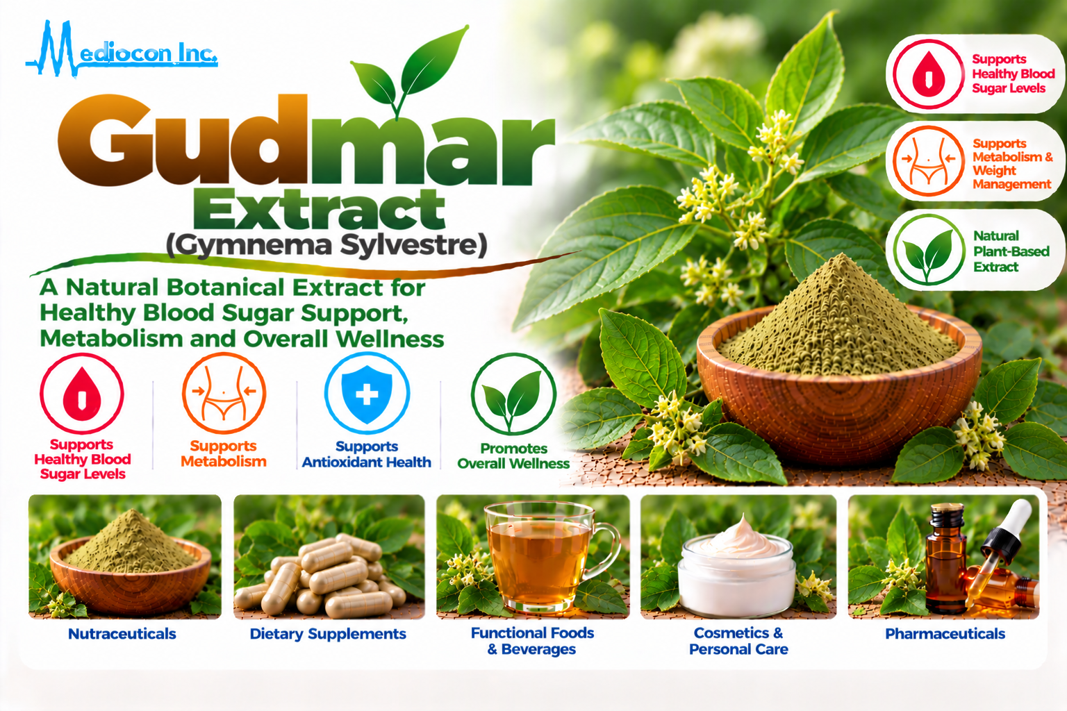 Gudmar Extract (Gymnema sylvestre) Manufacturer in India | Mediocon Inc. — Mediocon Inc