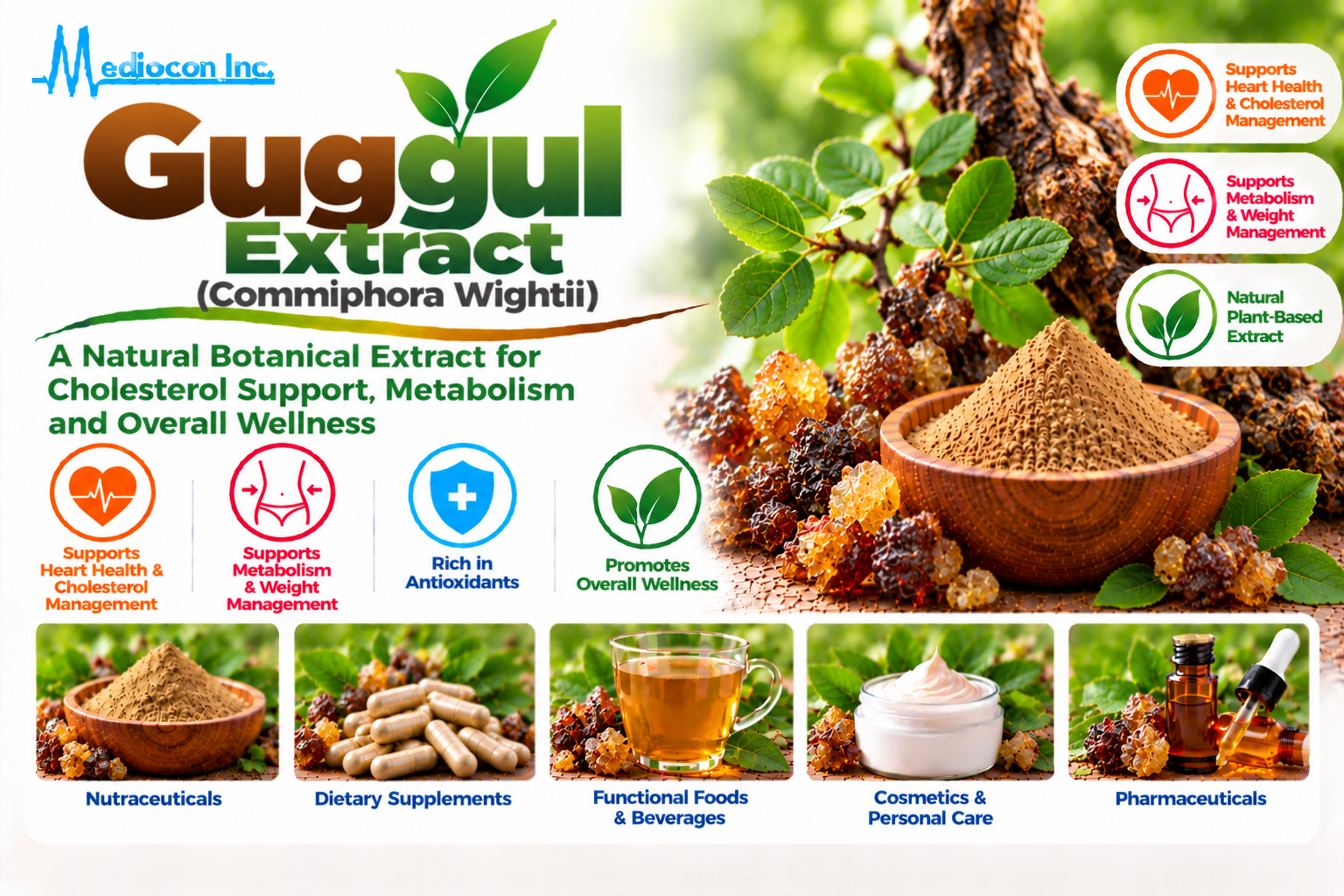 Guggul Extract (Commiphora wightii) Manufacturer in India | Mediocon Inc. — Mediocon Inc