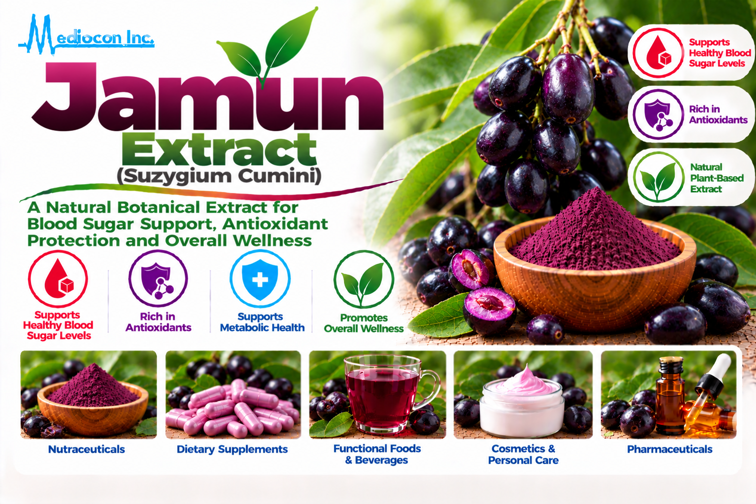 Jamun Extract (Syzygium cumini) Manufacturer in India | Mediocon Inc. — Mediocon Inc