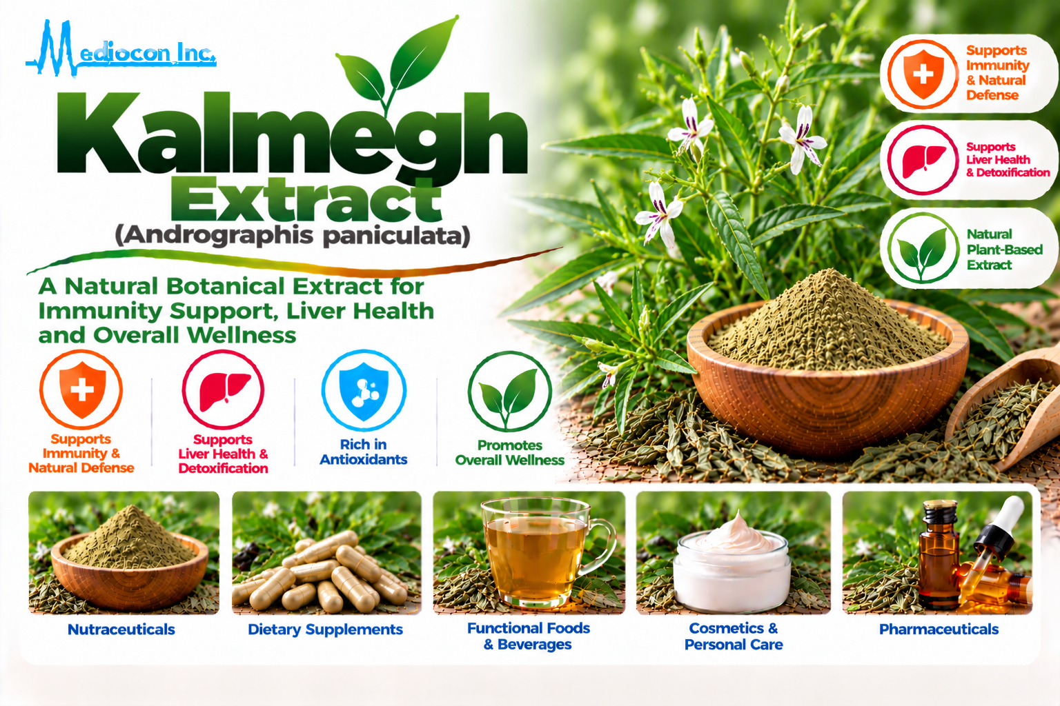 Kalmegh (Andrographis paniculata) Manufacturer in India | Mediocon Inc. — Mediocon Inc