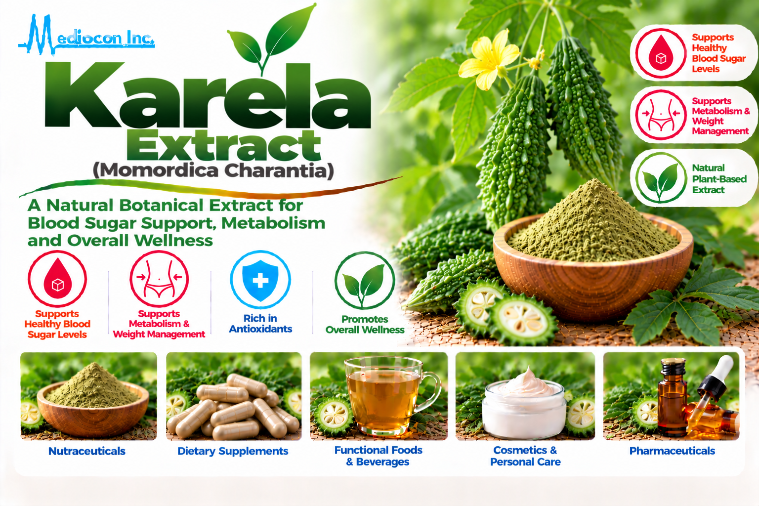 Karela Extract (Momordica charantia) Manufacturer in India | Mediocon Inc. — Mediocon Inc