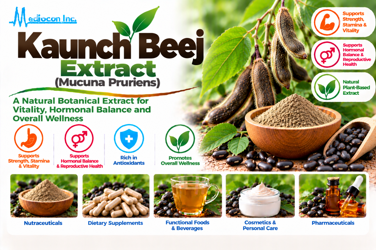 Kaunch Beej Extract (Mucuna pruriens) Manufacturer in India | Mediocon Inc. — Mediocon Inc