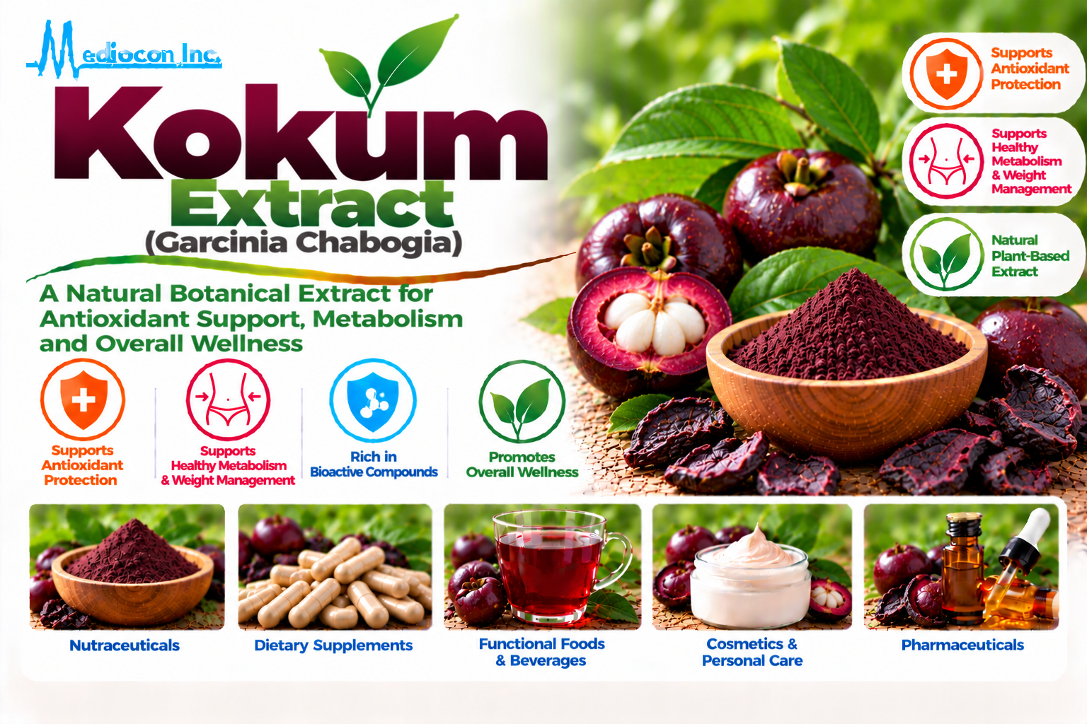 Kokum Extract (Garcinia indica) Manufacturer in India | Mediocon INC. — Mediocon Inc