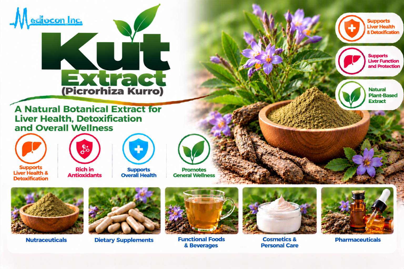 Kutki Extract (Picrorhiza kurroa) Manufacturer in India | Mediocon INC. — Mediocon Inc