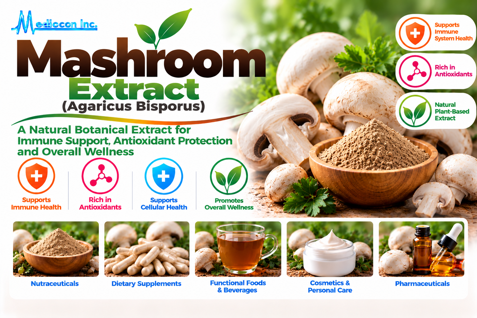 Mushroom Extract (Agaricus Bisporus) Manufacturer in India | Mediocon INC. — Mediocon Inc