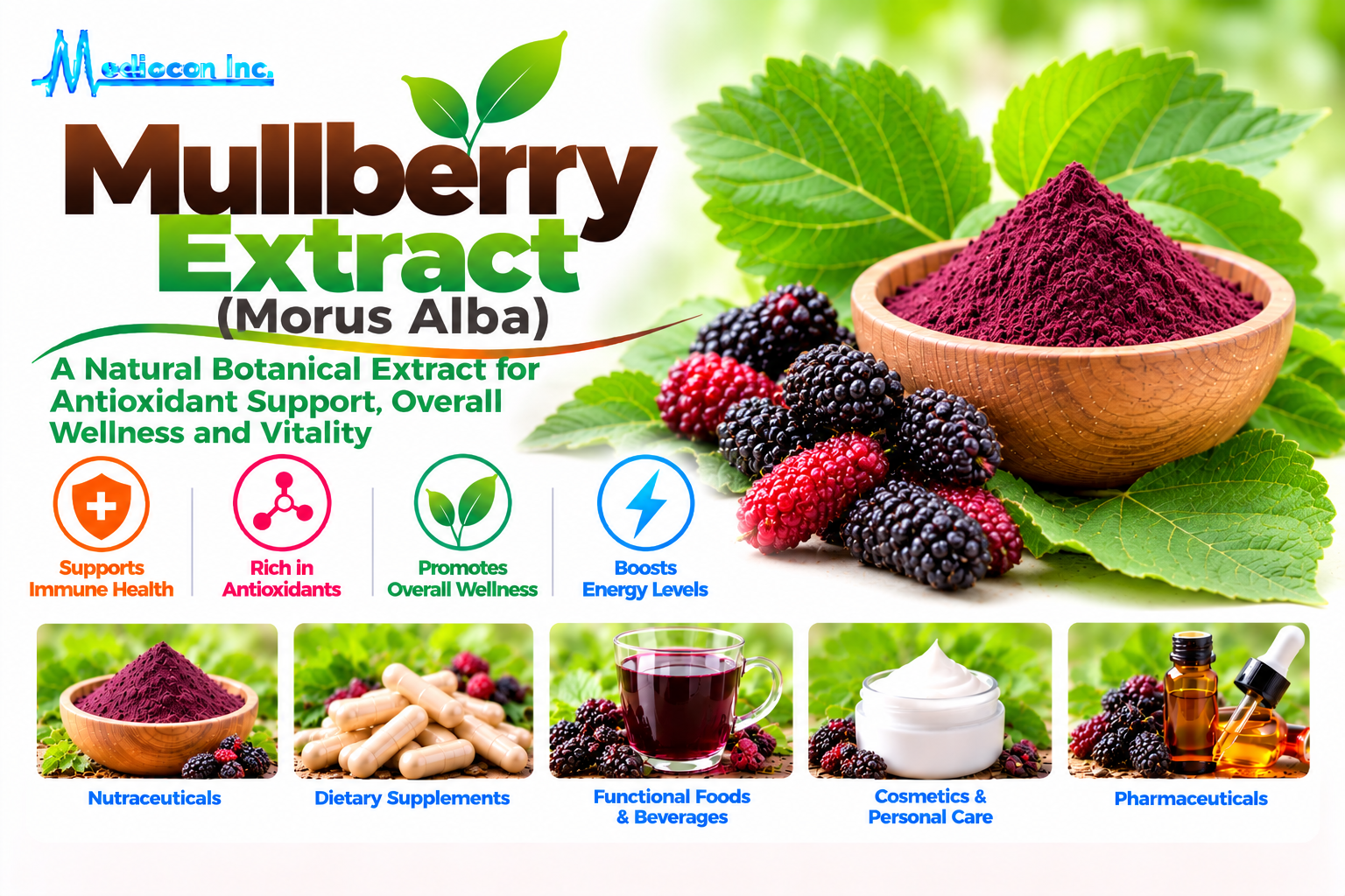 Mulberry Extract (Morus Alba) Manufacturer in India — Mediocon Inc
