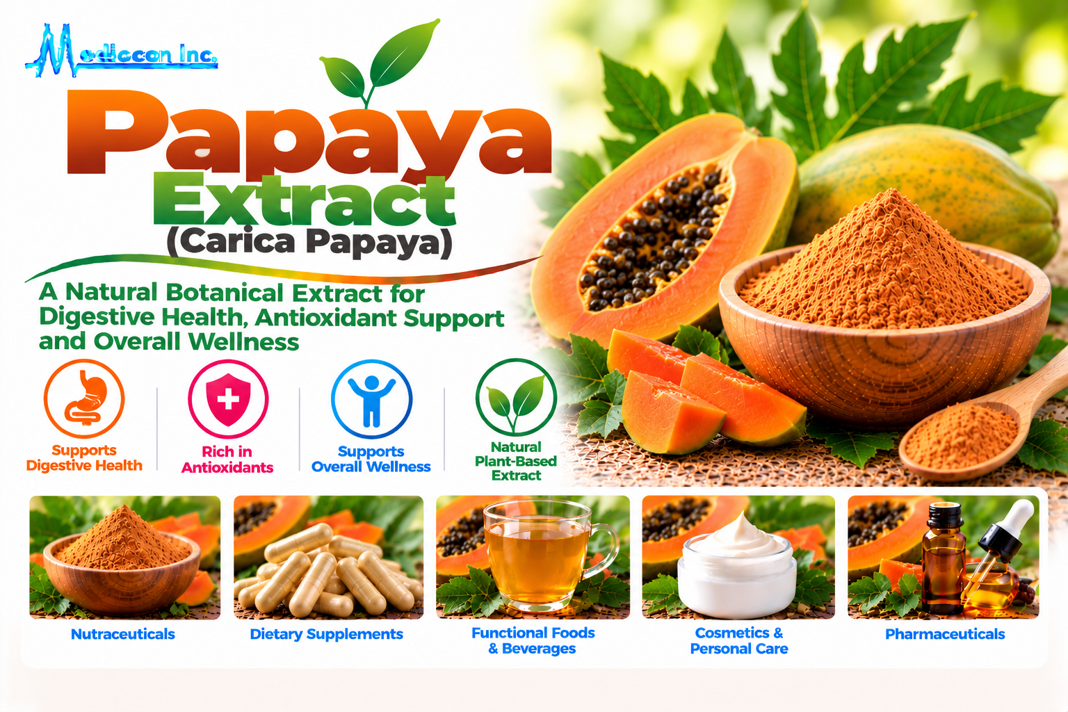 Papaya Extract (Carica Papaya) Manufacturer in India — Mediocon Inc