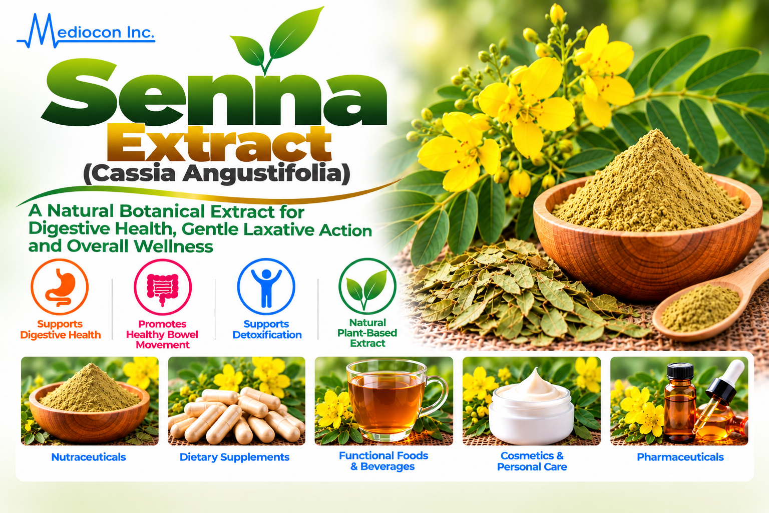 Senna (Cassia angustifolia) — Mediocon Inc