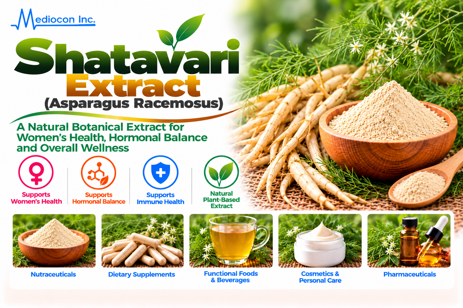 Shatavari Extract (Asparagus racemosus) Manufacturer in India — Mediocon Inc