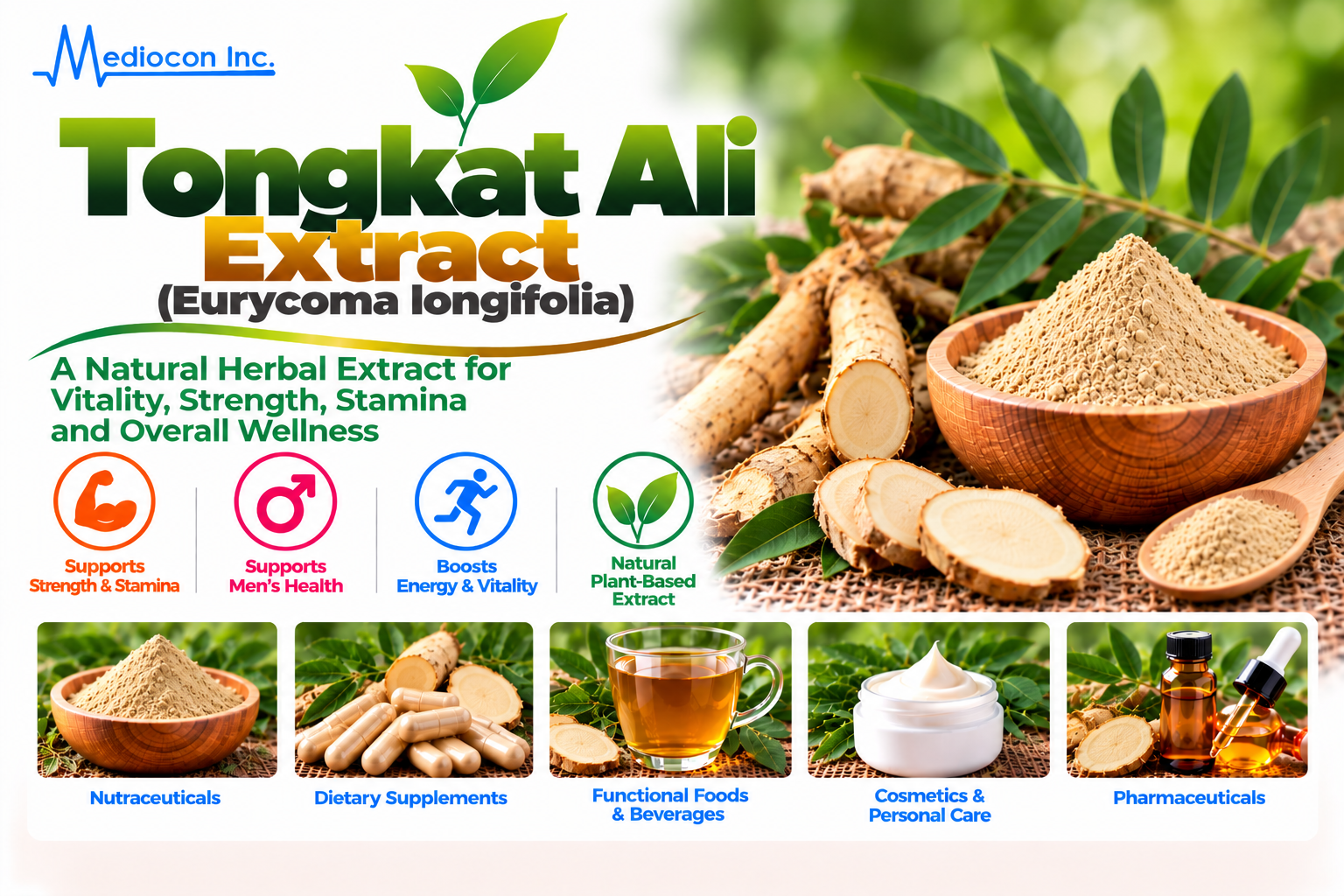 Tongkat Ali Extract (Eurycoma longifolia) Manufacturer in India — Mediocon Inc