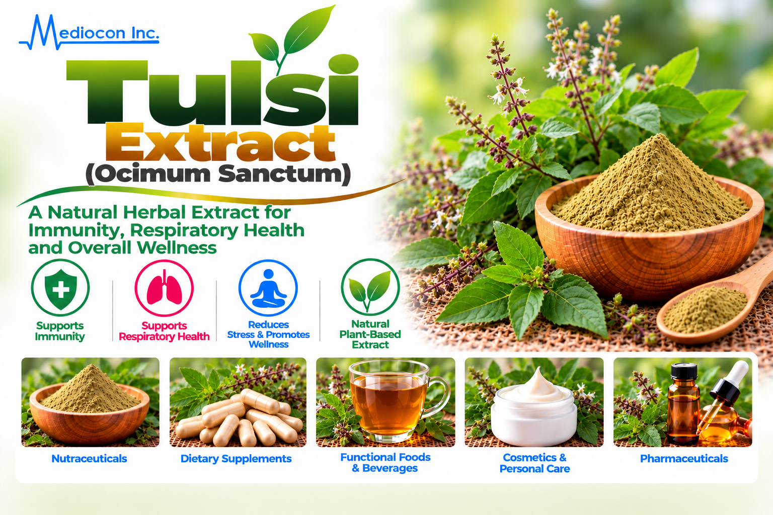 Tulsi Extract (Ocimum sanctum) Manufacturer in India — Mediocon Inc