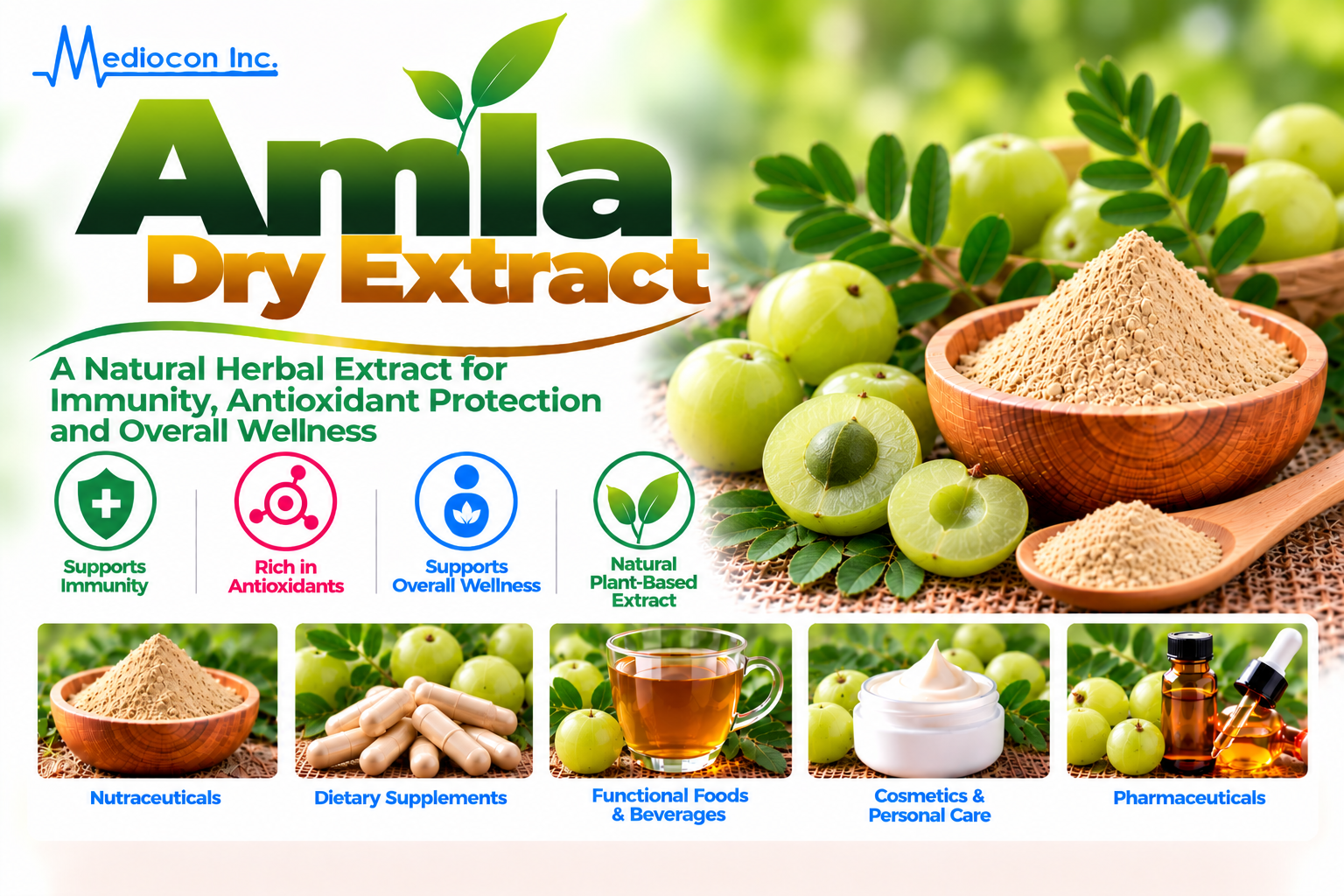 Amla Dry Extract (Phyllanthus emblica) Manufacturer in India — Mediocon Inc