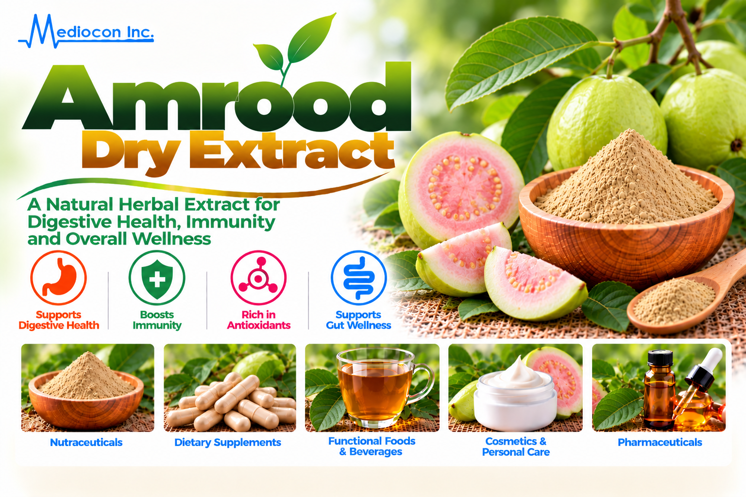 Amrood Dry Extract (Psidium guajava) Manufacturer in India — Mediocon Inc