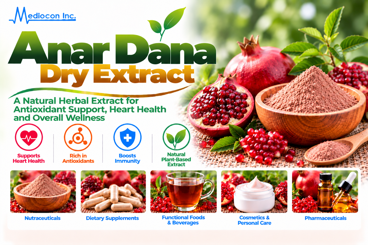 Anar Dana Dry Extract (Punica granatum) Manufacturer in India — Mediocon Inc
