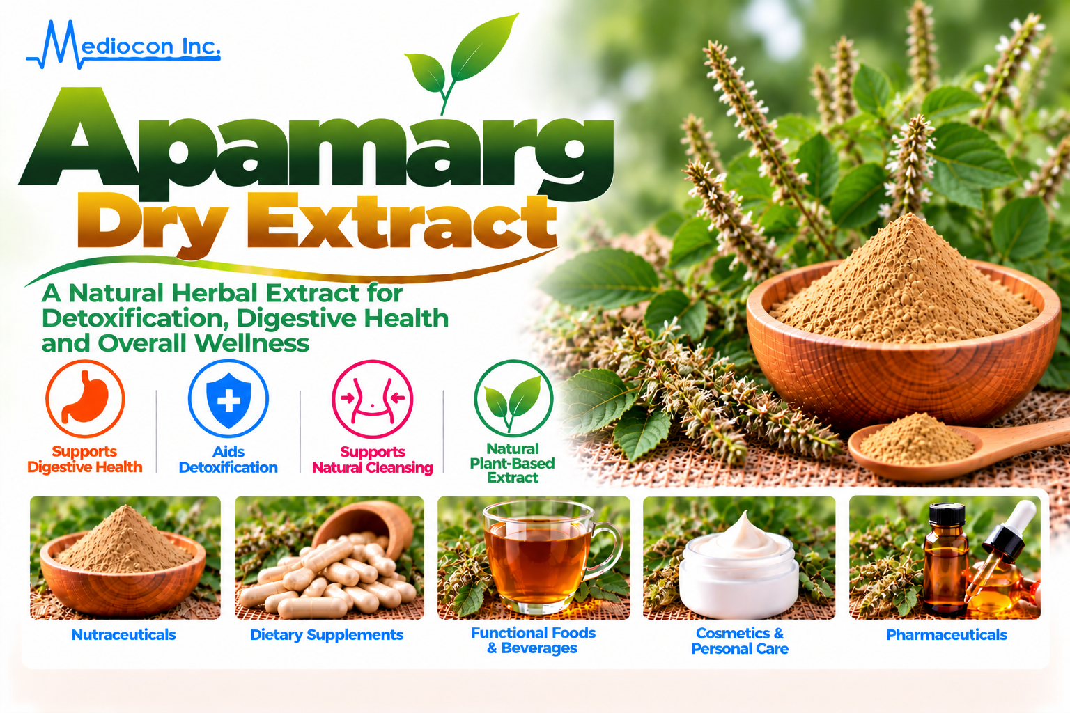 Apamarg Dry Extract (Achyranthes aspera) Manufacturer in India — Mediocon Inc