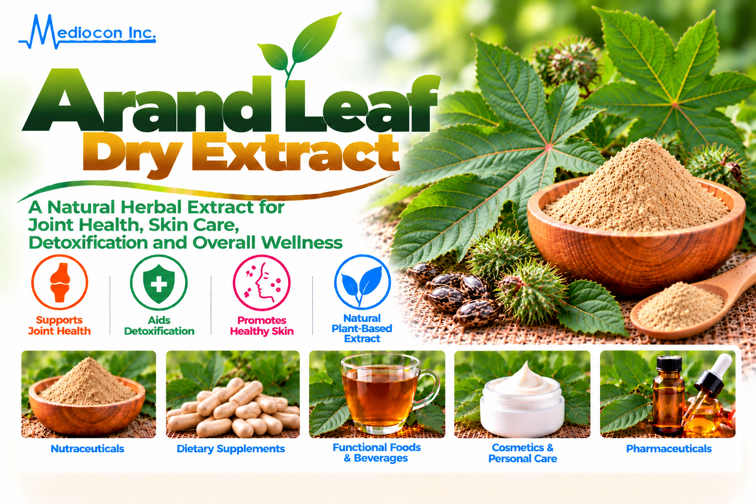 Arand Leaf Extract (Ricinus communis) Manufacturer in India — Mediocon Inc