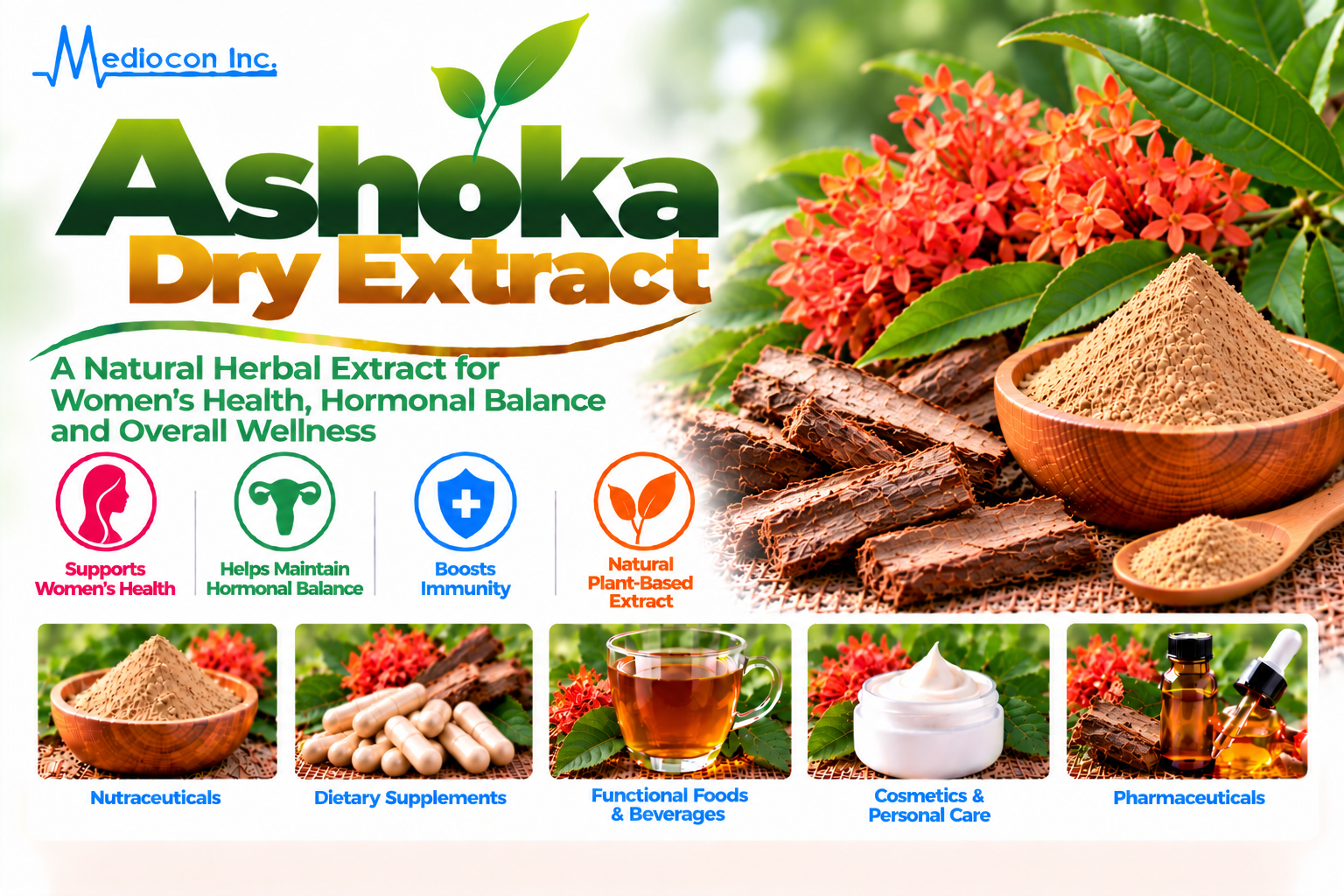 Ashoka Dry Extract (Saraca asoca) Manufacturer in India — Mediocon Inc