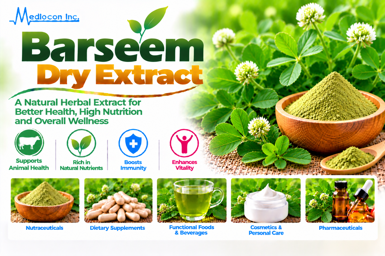 Barseem Dry Extract Manufacturer in India | Mediocon Inc. — Mediocon Inc
