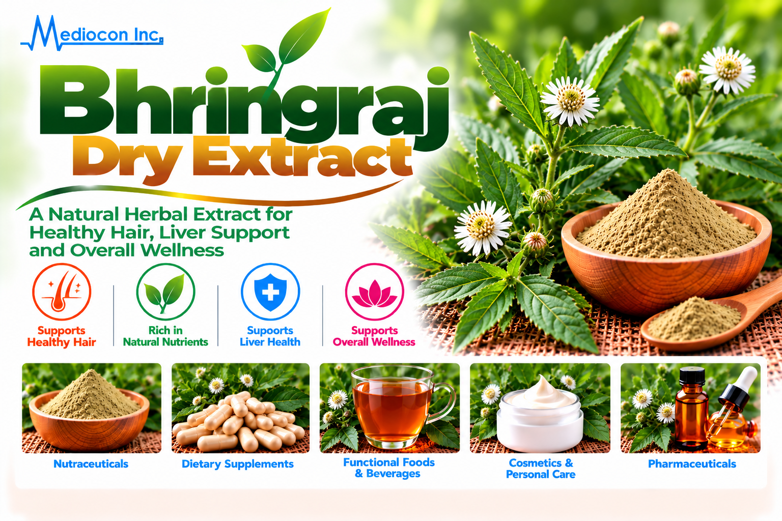 Bhringraj Dry Extract Manufacturer in India | Mediocon Inc. — Mediocon Inc
